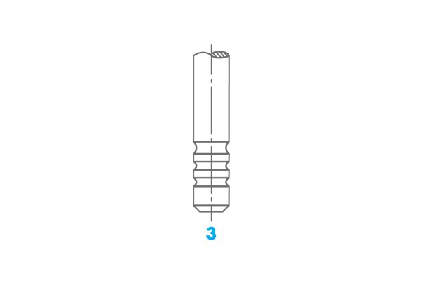 Intake Valve for Volvo – OE 31480337